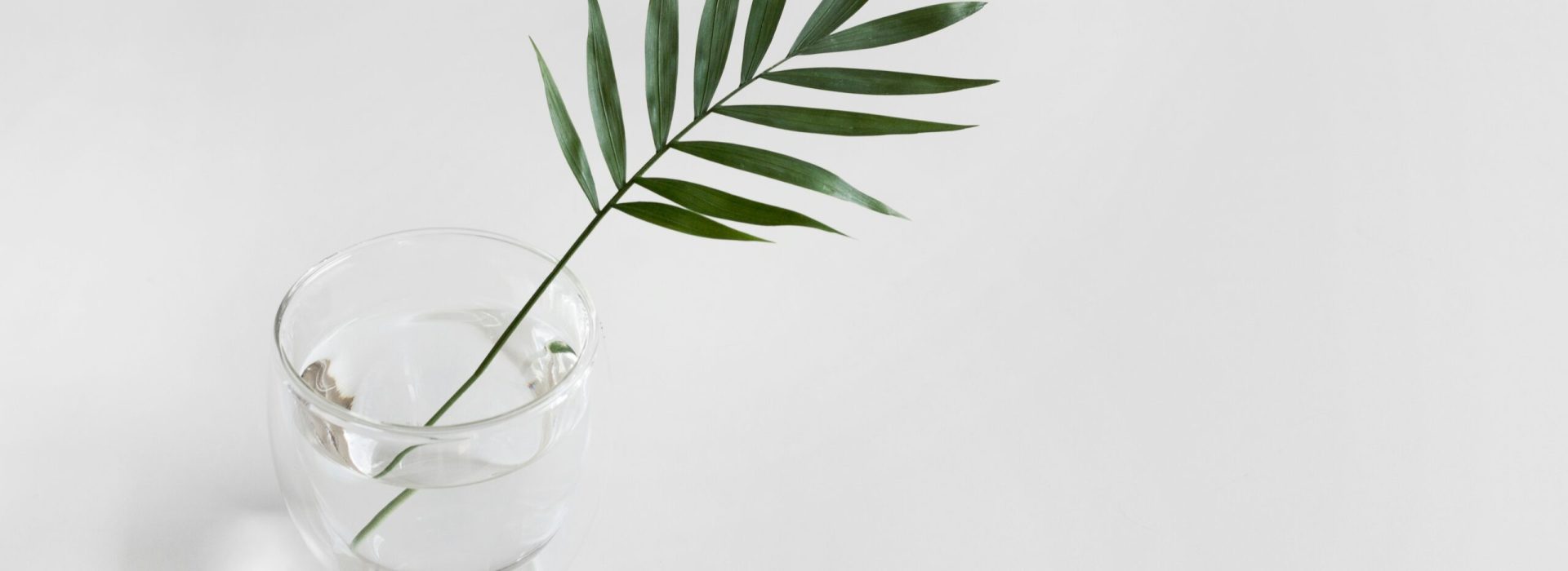 sarah-dorweiler-2s9aHF4eCjI-unsplash